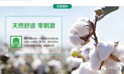一朵棉花，一個國牌 醫用敷料OEM的國民品牌轉型與資本之路